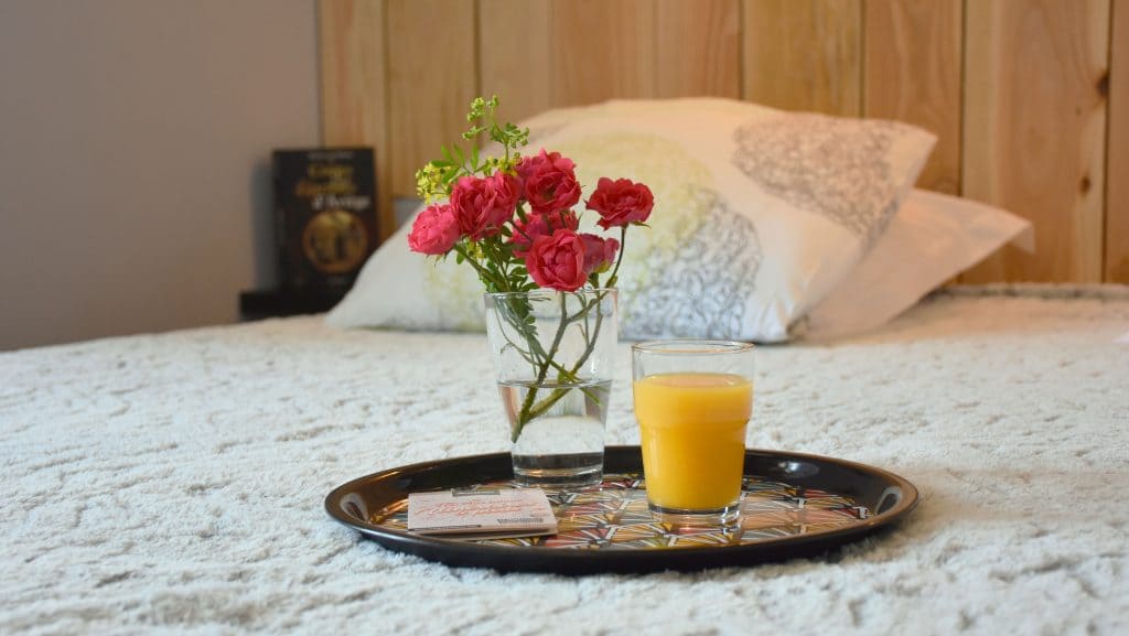 Gite ariege location cure